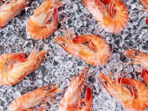 king prawns Block Frozen