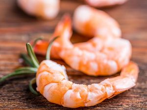 Small Prawns